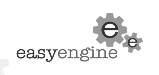 What is easyengine