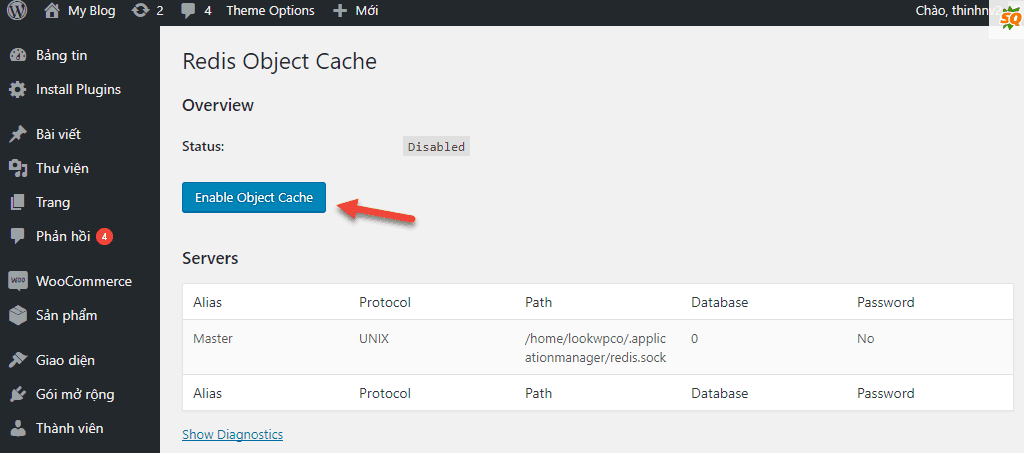 enable object cache