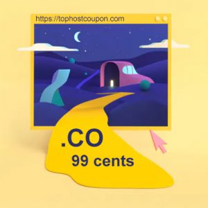 Co domain 99 cents