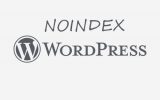 noindex wordpress