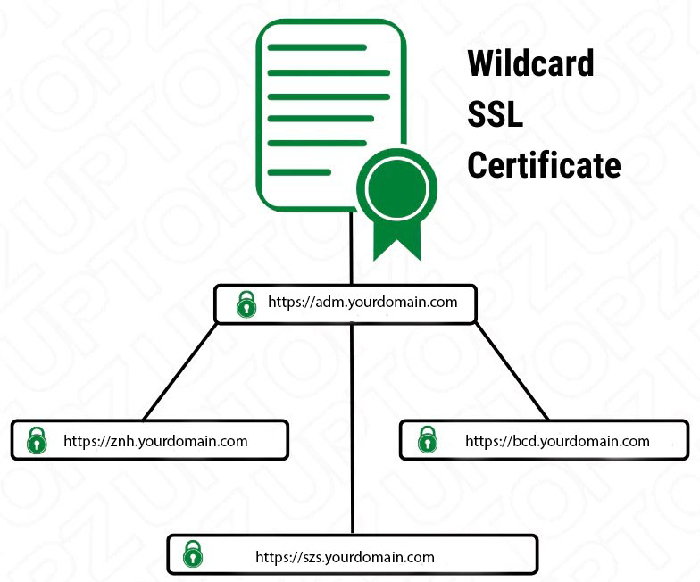 wildcard ssl certificate